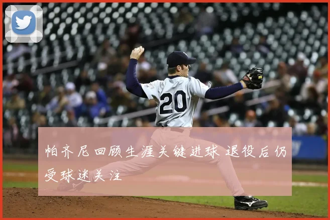 帕齐尼回顾生涯关键进球 退役后仍受球迷关注