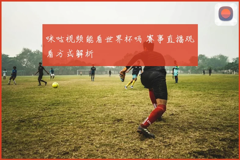 咪咕视频能看世界杯吗 赛事直播观看方式解析