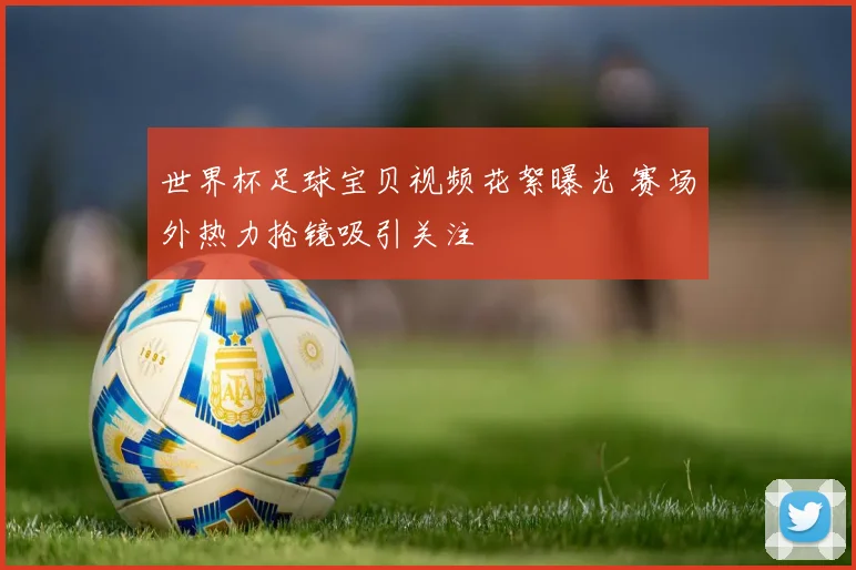 世界杯足球宝贝视频花絮曝光 赛场外热力抢镜吸引关注
